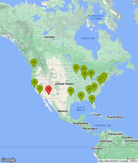 Arizona Cardinals_league.png